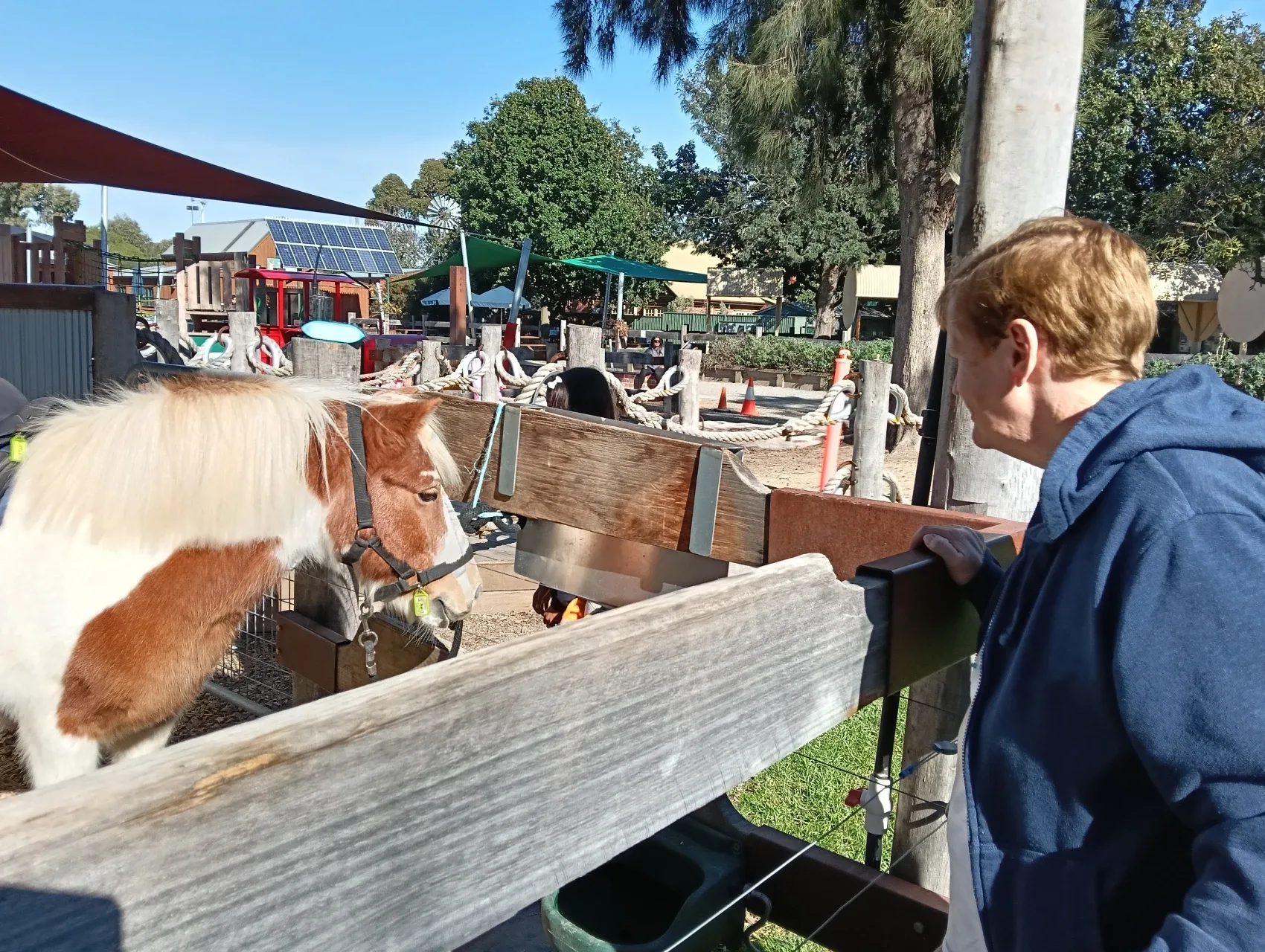 Meeting friendly ponies